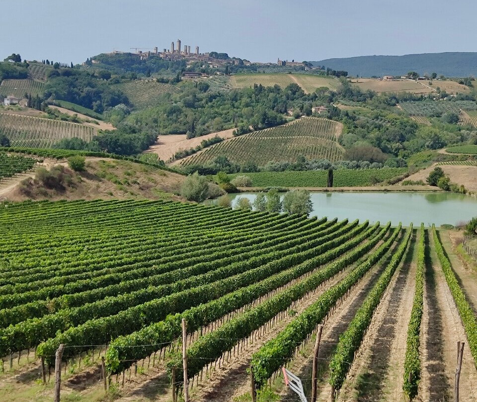 Fattoria Poggio Alloro景点图片