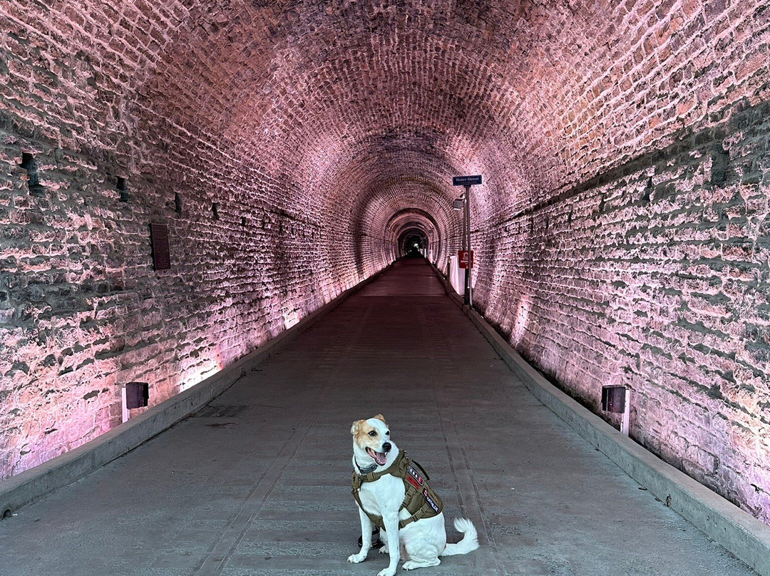 Brockville Railway Tunnel景点图片