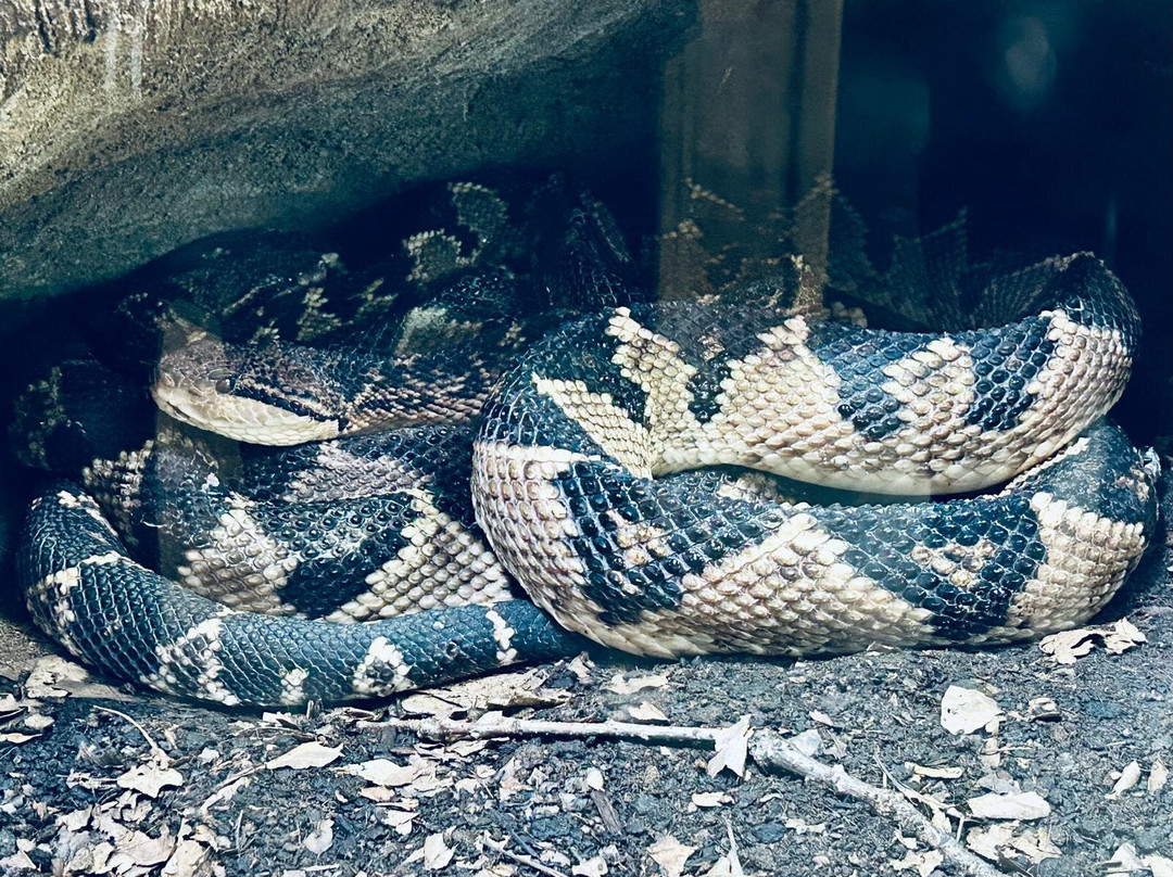 Zoo Plzen景点图片