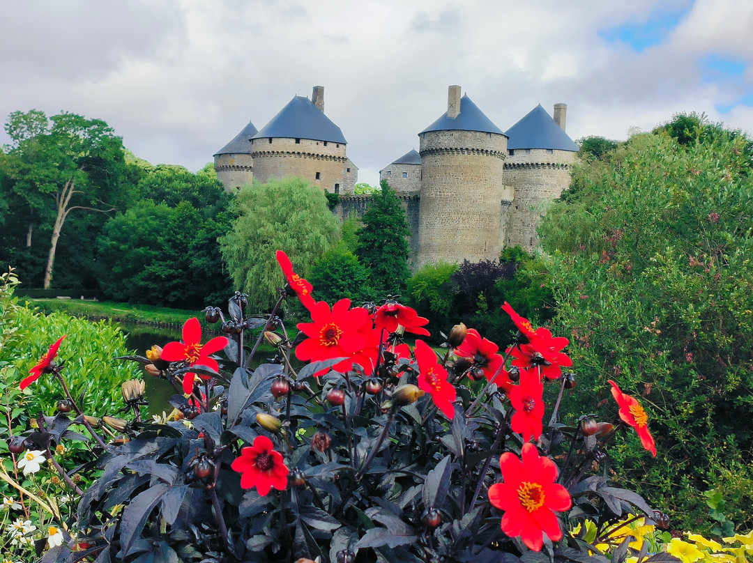 Roseraie de Lassay-les-Châteaux景点图片