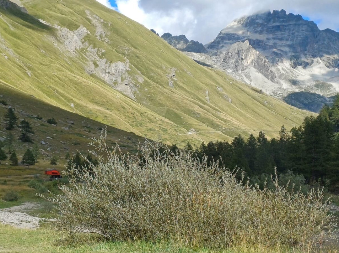 Colle Del Sommelier景点图片