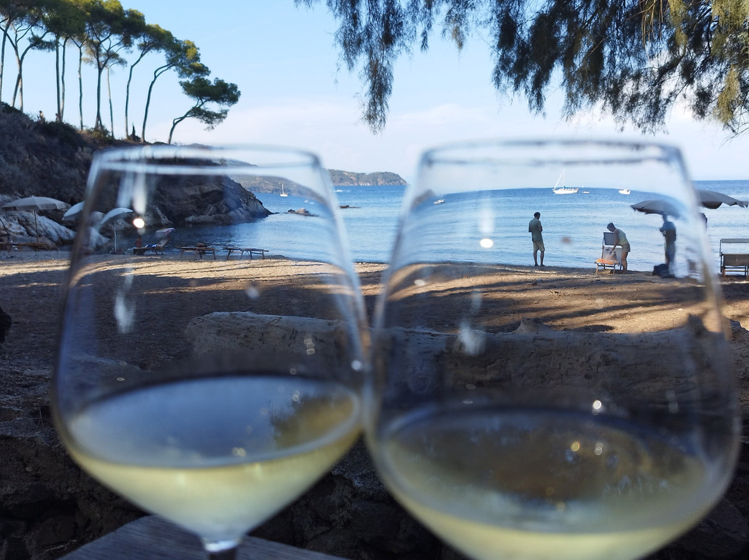 Spiaggia Calanova景点图片