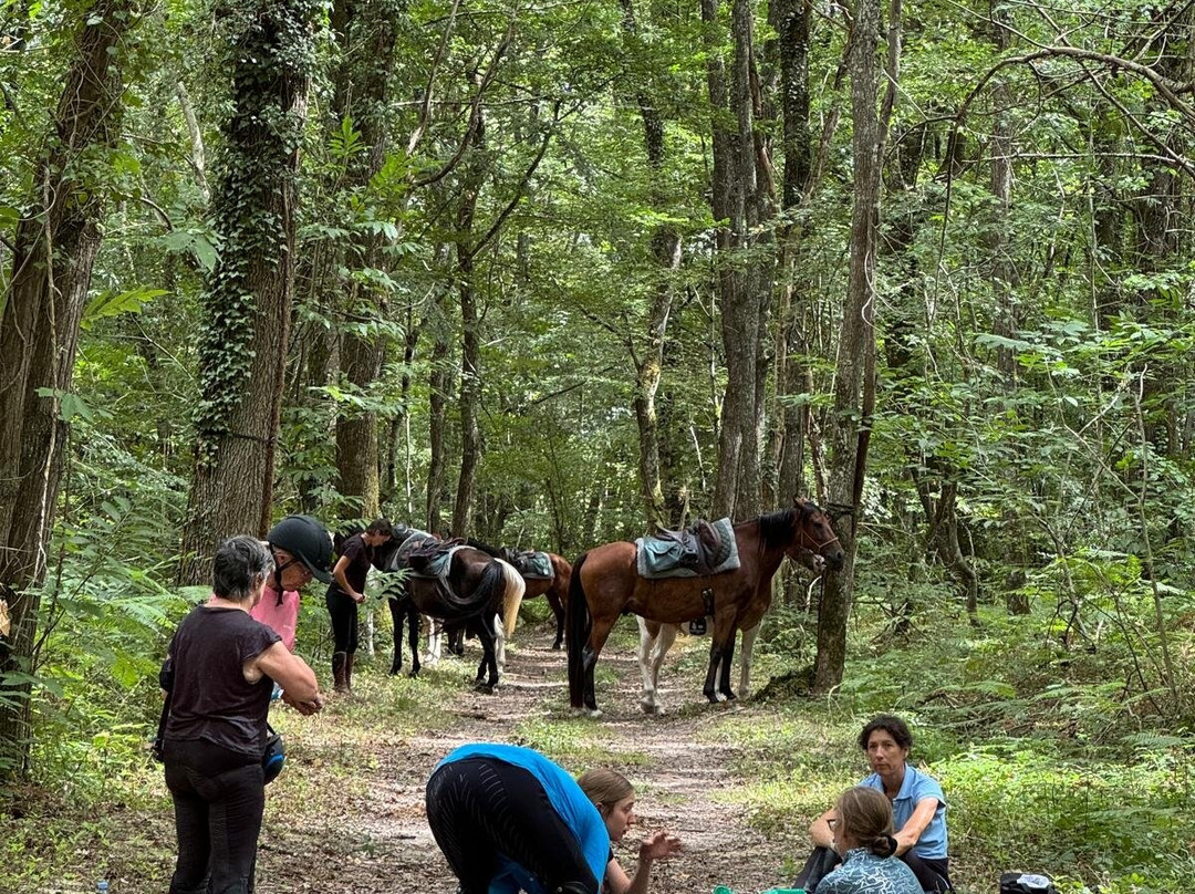 Loire Perspectives-布洛瓦必去景点