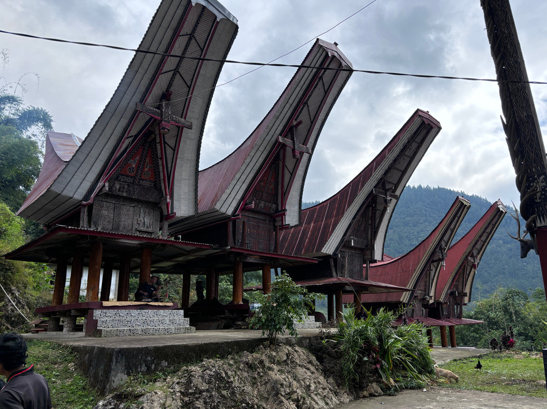 Sulawesi Culture and Nature Tour景点图片