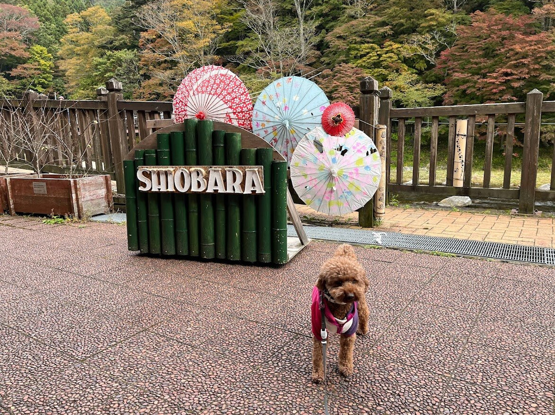 Shiobara Imagination Archives-那须盐原市必去景点