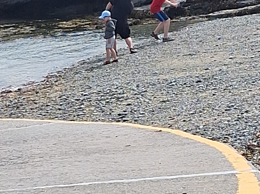 Trearddur Bay Beach景点图片