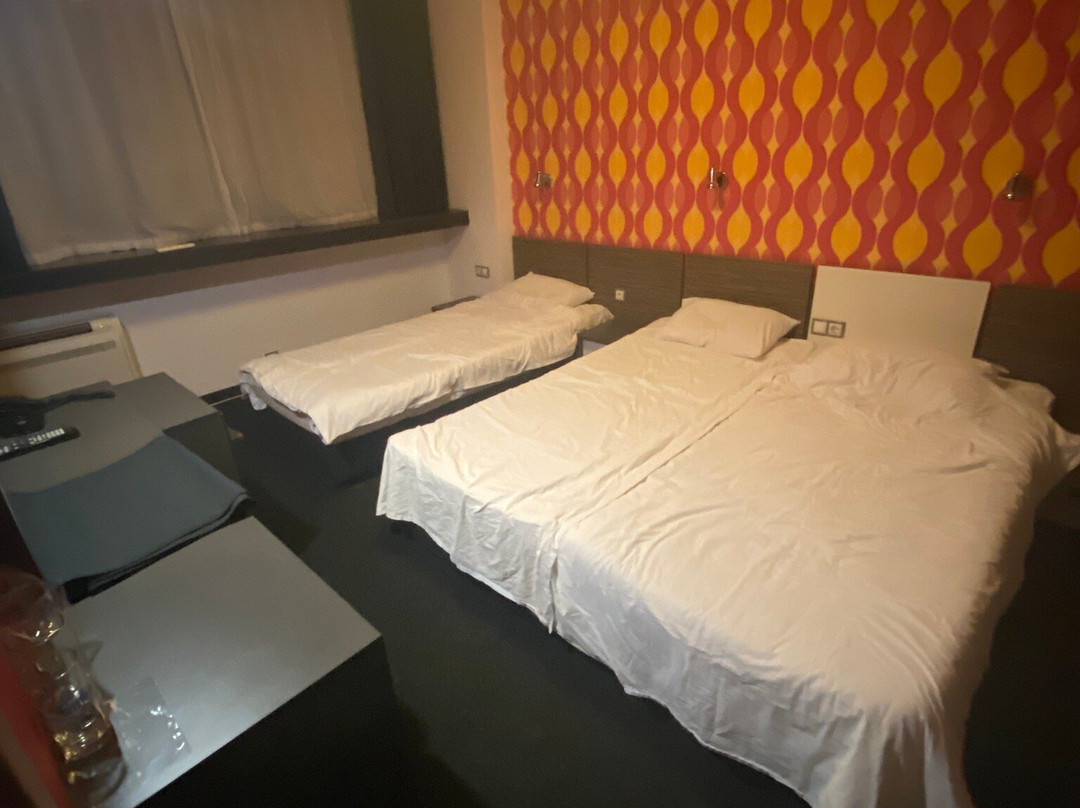 Dunav Hotel主图