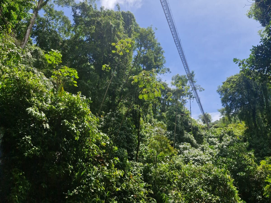 Manuel Antonio Trekking and Waterfalls Tours景点图片