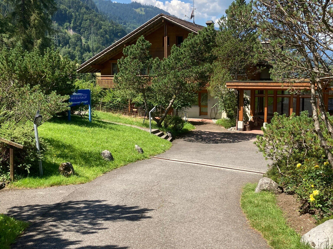 Hotel Meielisalp主图