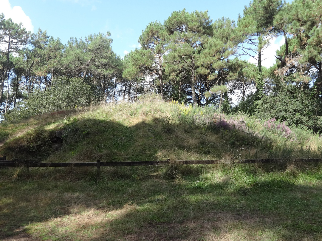 Tumulus et Tombelles de Kernours景点图片