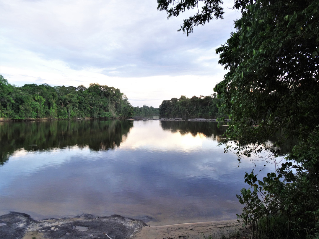 Danpaati River Lodge主图