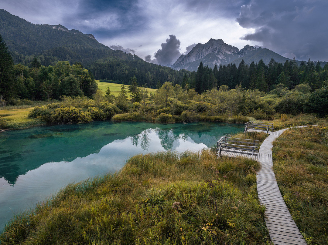 Zelenci Nature Reserve景点图片