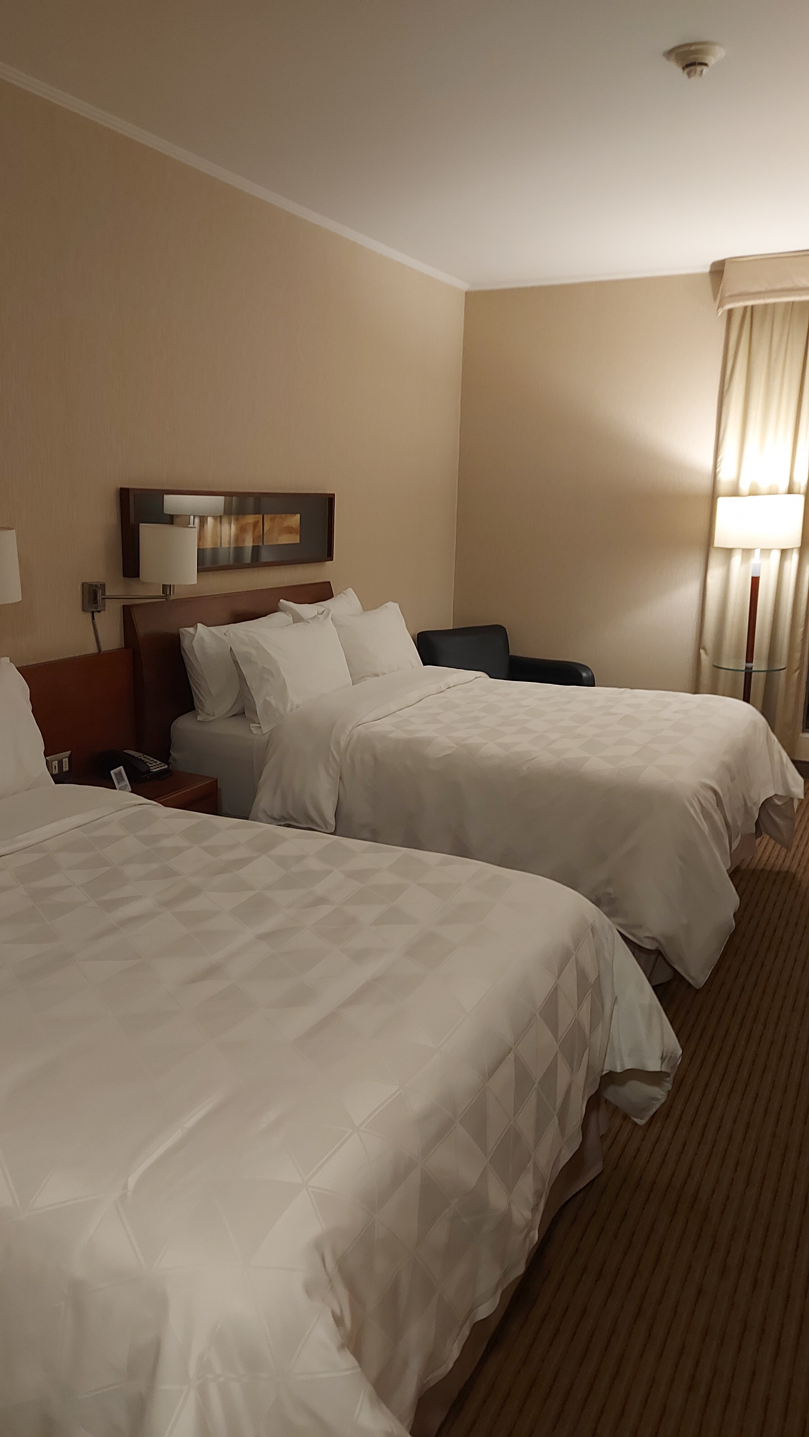 Holiday Inn Santiago - Airport Terminal, an IHG Hotel-客卧