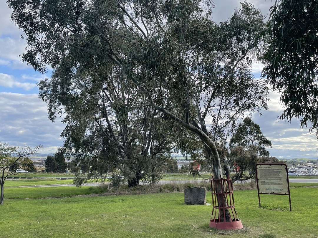 175th Anniversary Of Hume & Hovell Expedition Memorial景点图片
