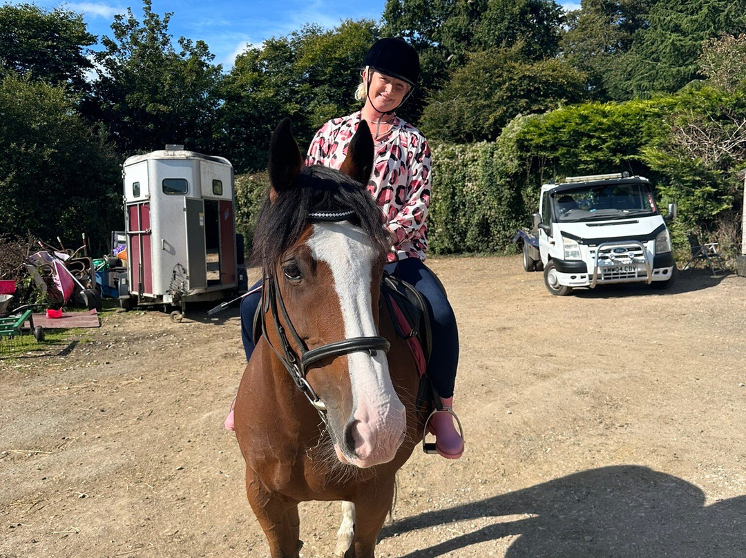 Finlake Riding Centre景点图片