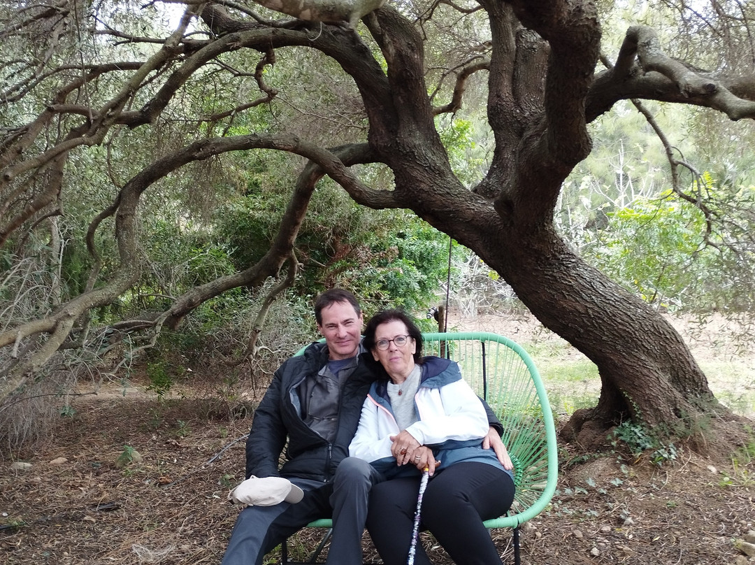 Le Jardin Botanique Frutier d'Avapessa-Avapessa必去景点