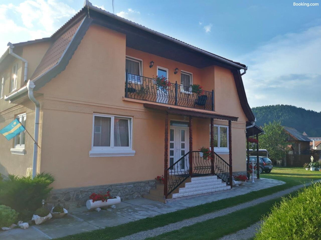 Gabriella Vendeghaz主图