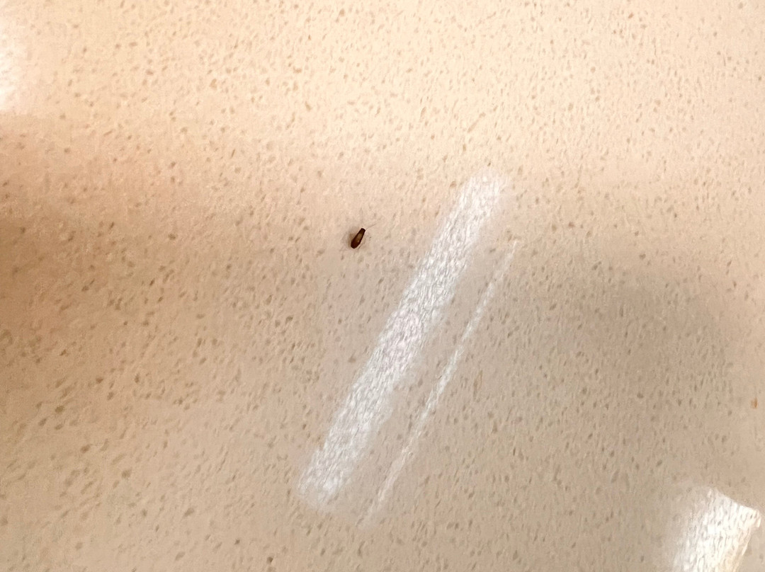 Comfort Inn & Suites Lithia Springs主图