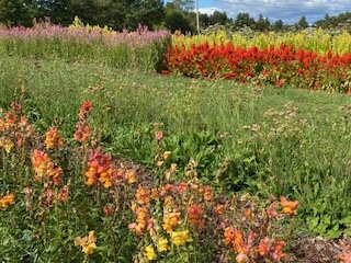 Broadturn Farm-斯卡伯勒必去景点
