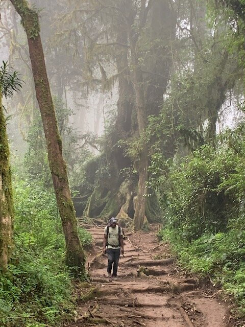 Jobeth Africa Safaris-Seronera必去景点