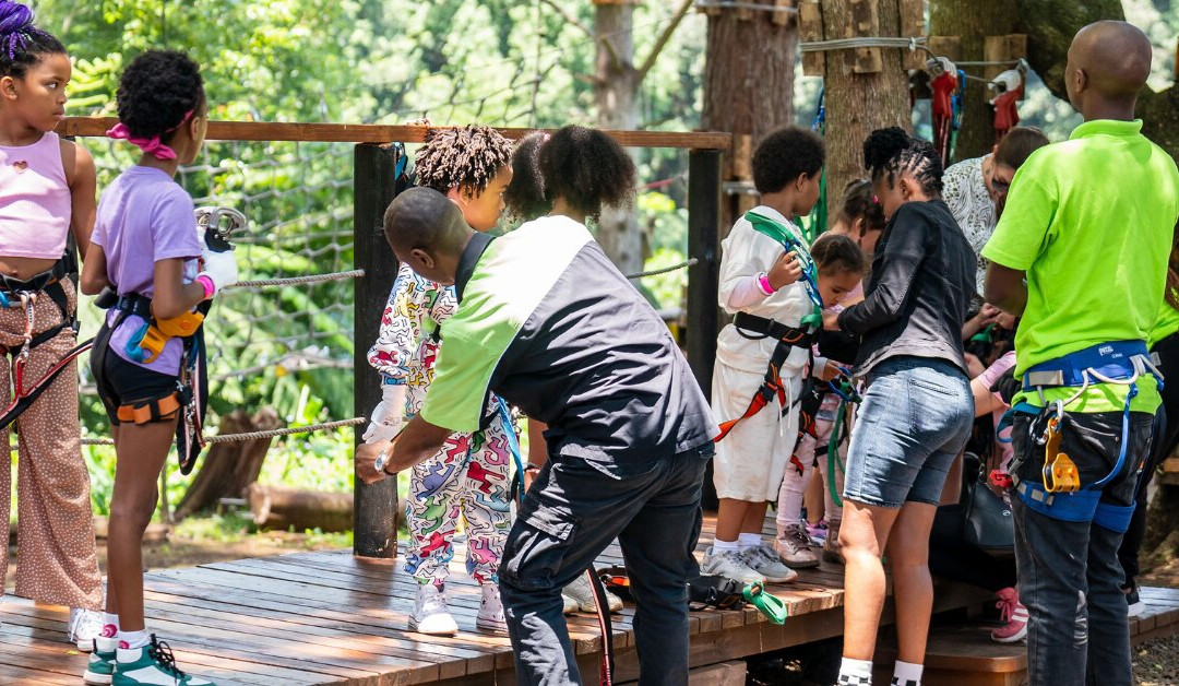 Acrobranch Hillcrest