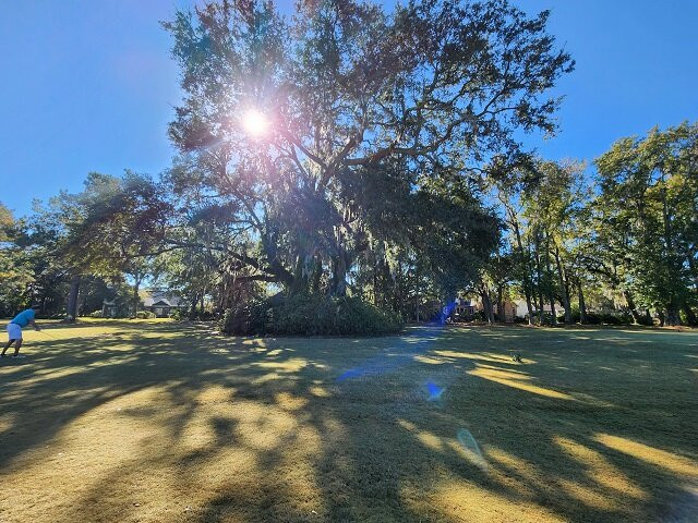 Willbrook Plantation Golf Club-帕利斯岛必去景点