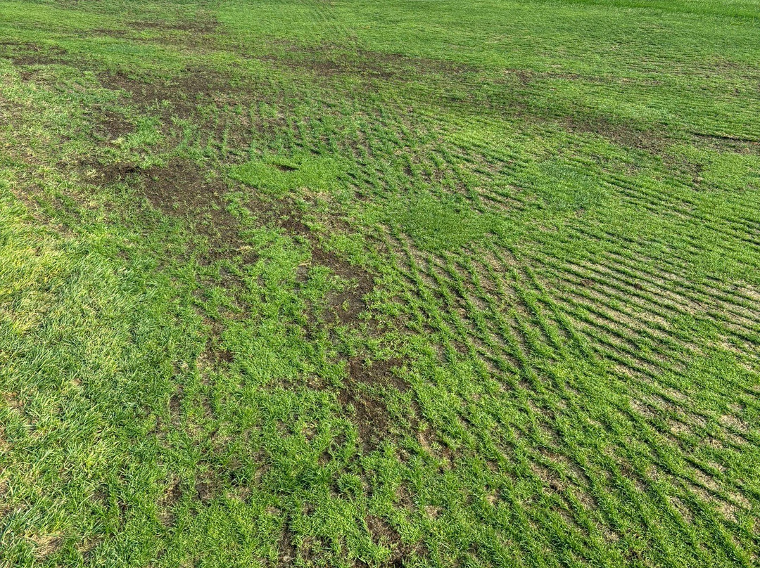 The Golf Course At Sand Hollow Resort-哈里肯必去景点