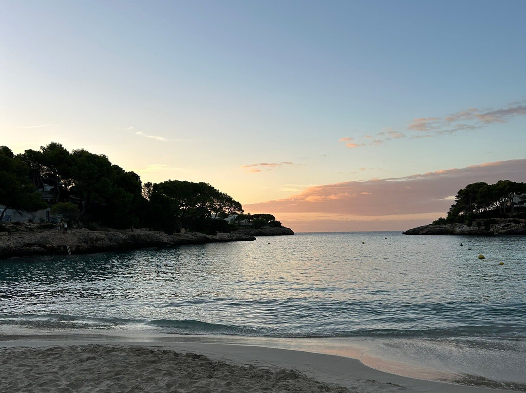 Playa Cala Gran景点图片