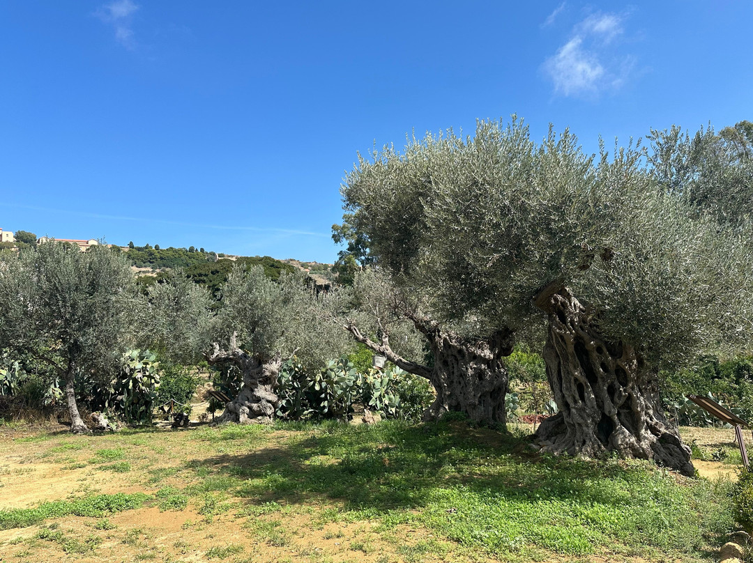 Il Giardino di Bonamorone景点图片