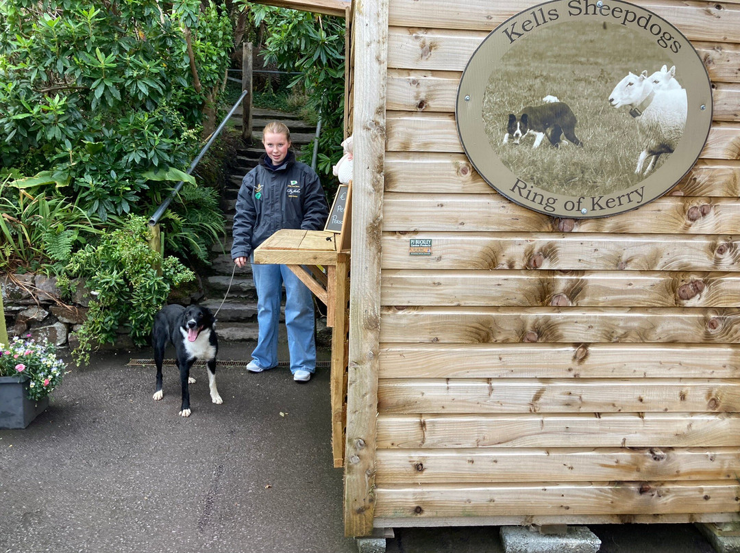 Kells Sheep Centre-Kells必去景点