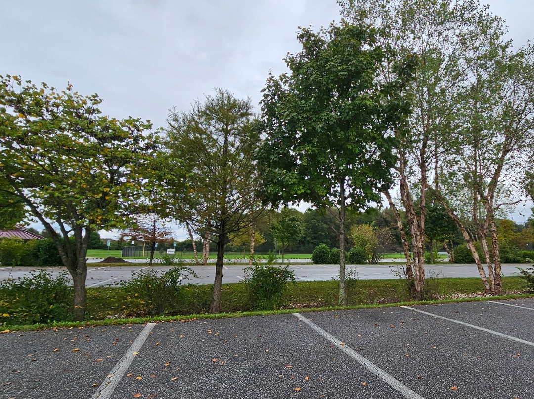 Schucks Regional Park-Bel Air必去景点