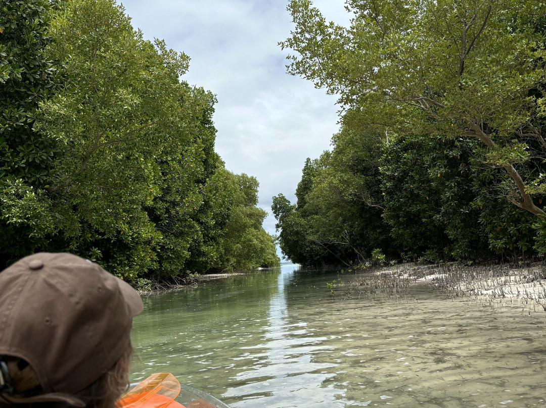 Kae Best Kayaks-米查维必去景点