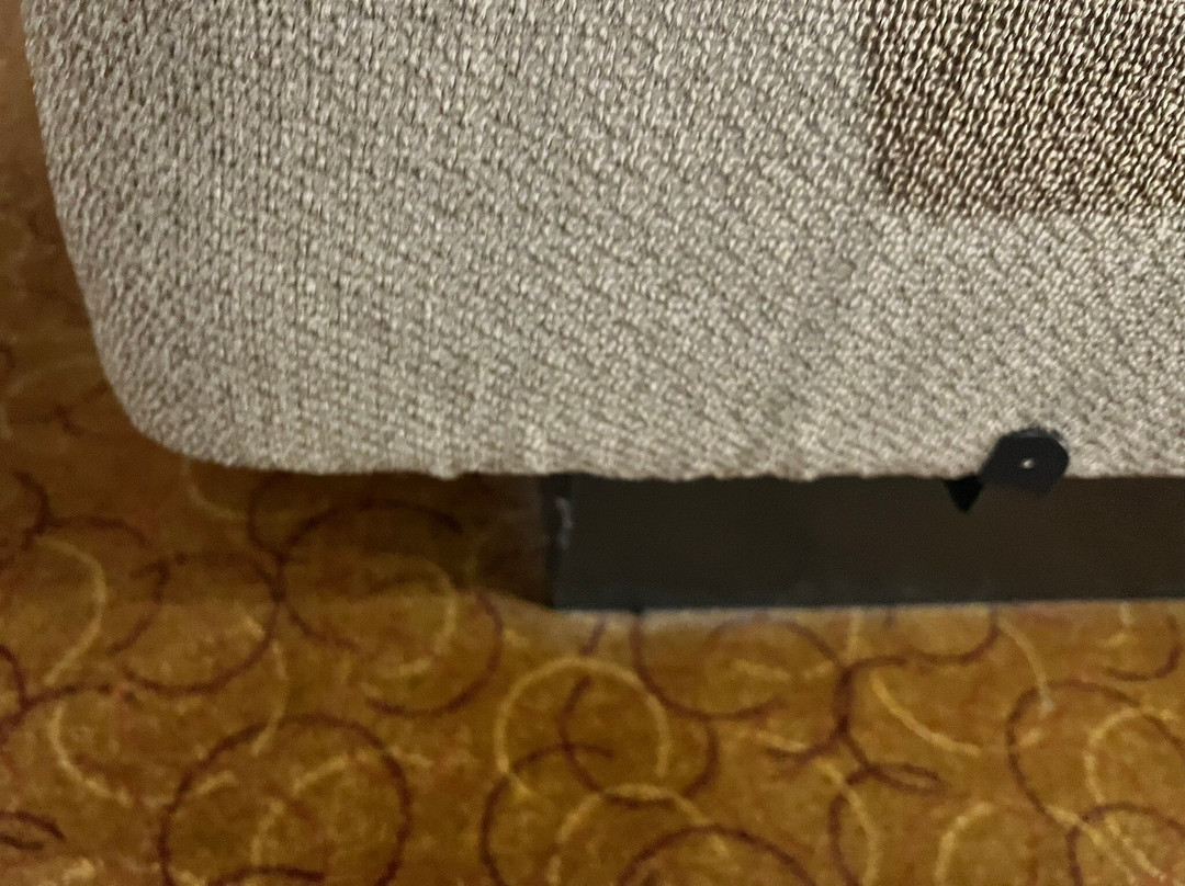 东克利夫兰/梅菲尔德村希尔顿花园酒店主图