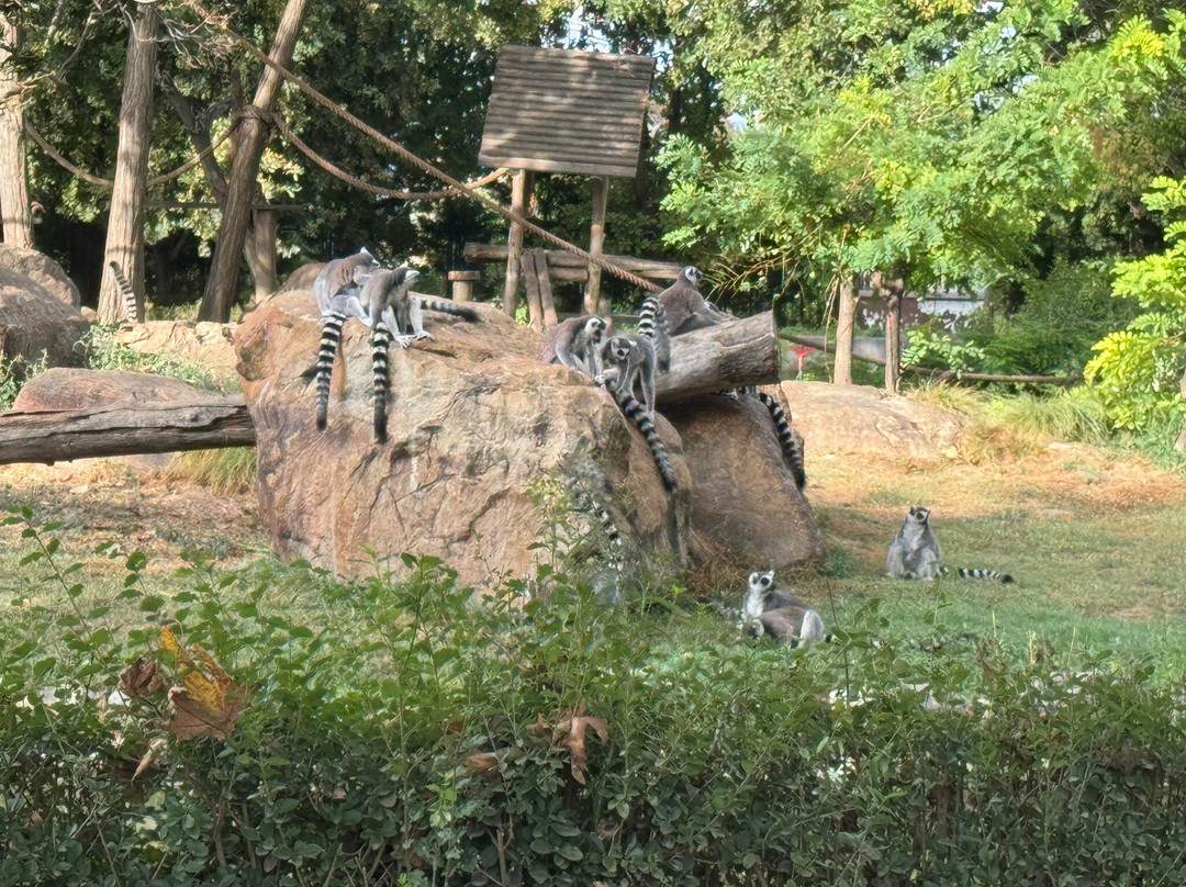 Bursa Zoo-布尔萨必去景点