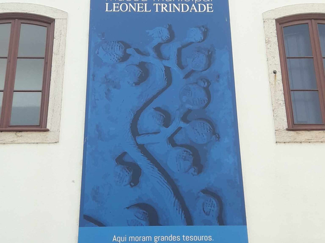 Museu Municipal Leonel Trindade景点图片