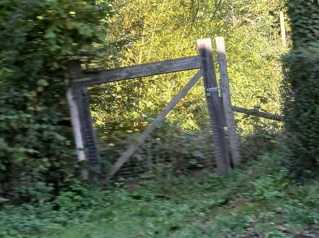 Villa Vontenie主图