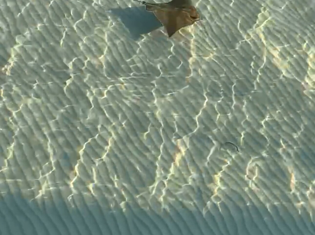 Moonta Bay Jetty-Moonta必去景点