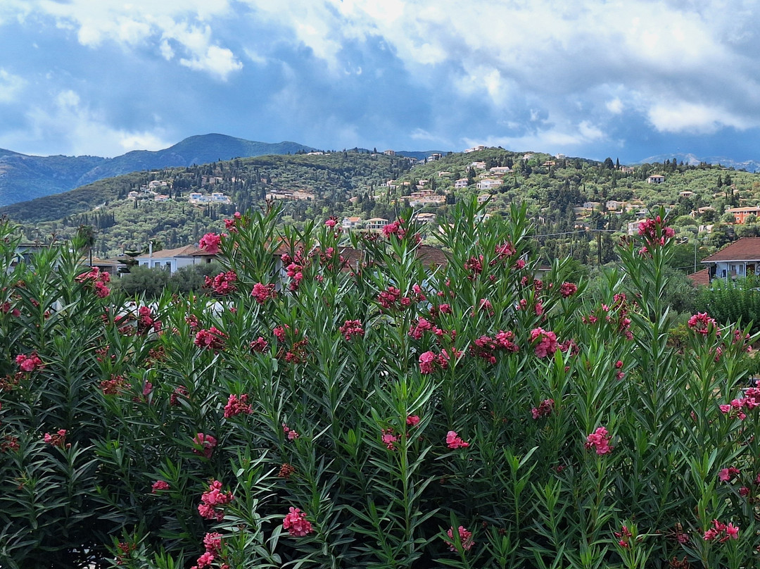 Alkyon Apartments & Villas Hotel主图