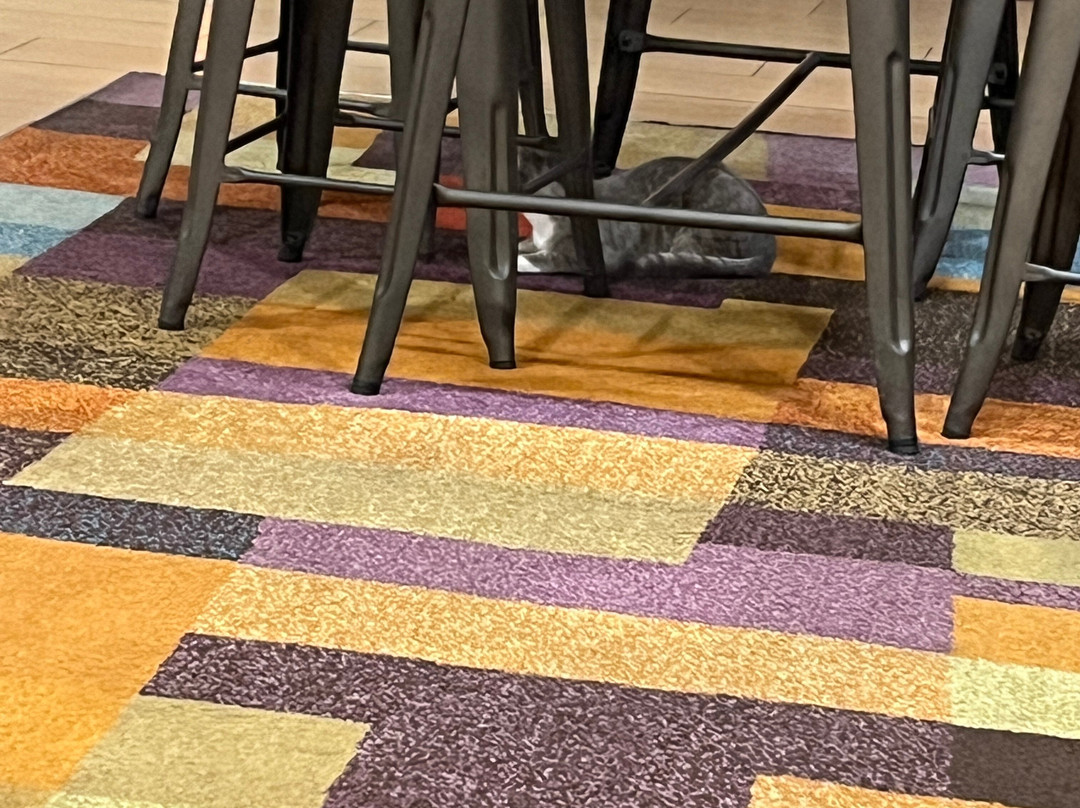 Fairfield by Marriott Inn & Suites Lumberton主图