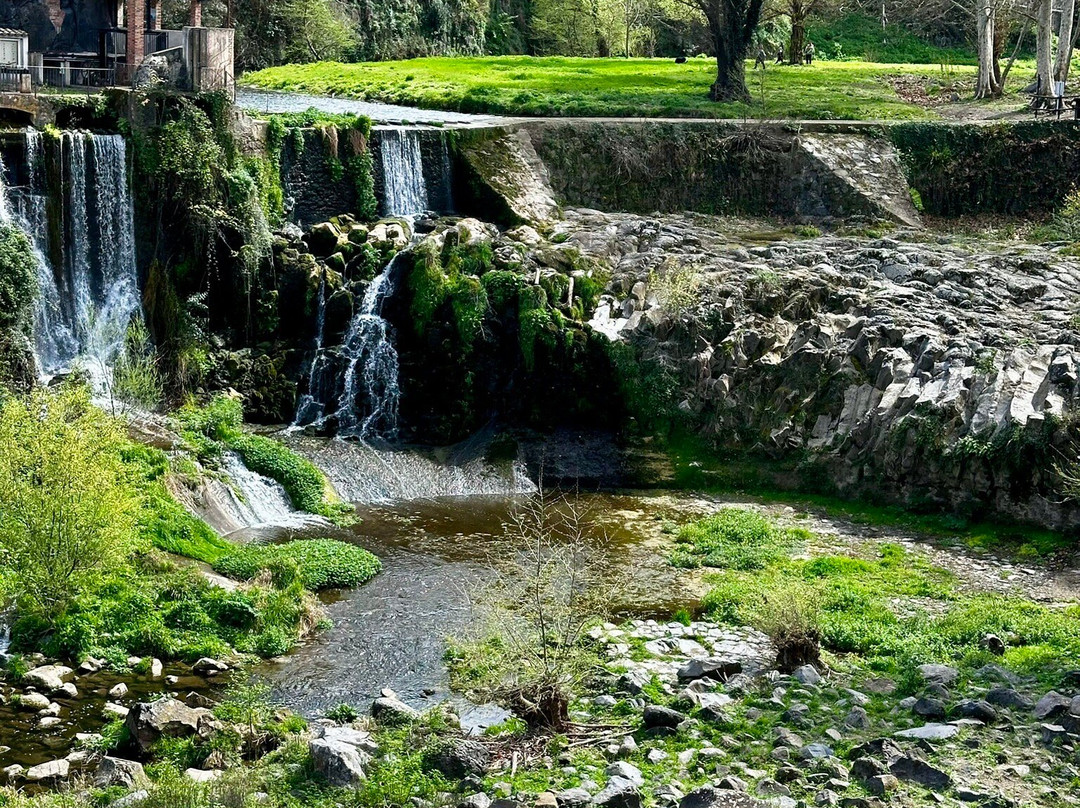 Salt del Moli Fondo景点图片