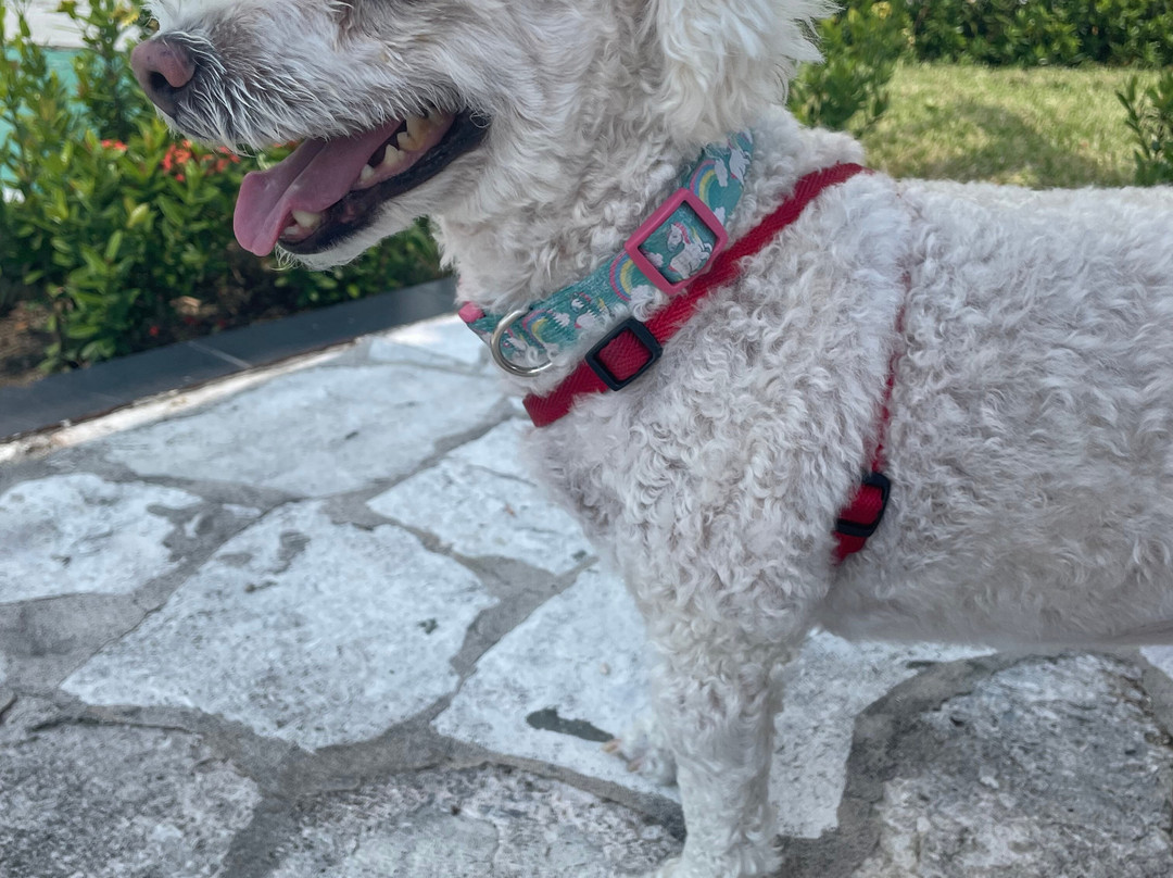 Holiday Inn Tuxpan - Convention Center by IHG主图