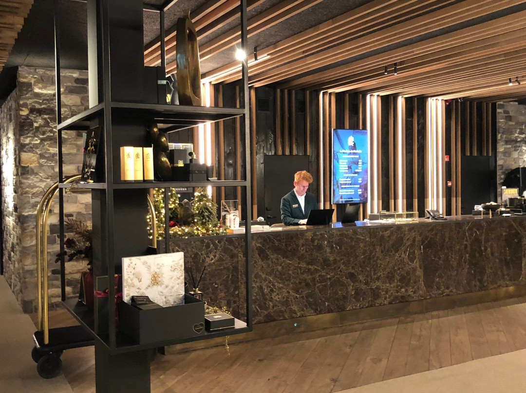 Hotel Sanglier主图