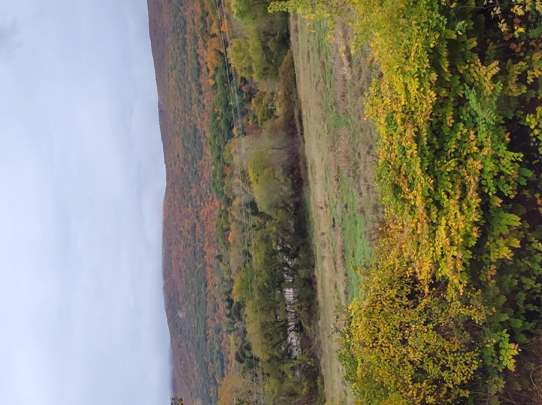 Berkshire Valley Inn主图