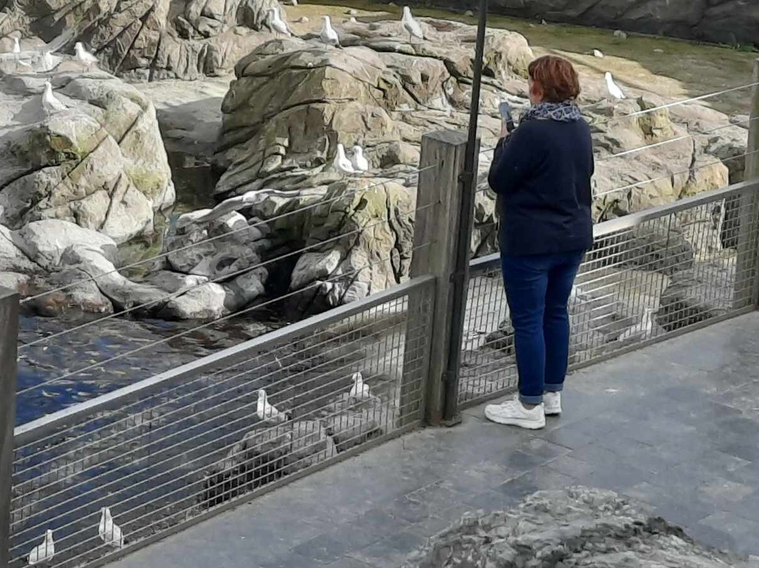 The Paddling Bear Hotel