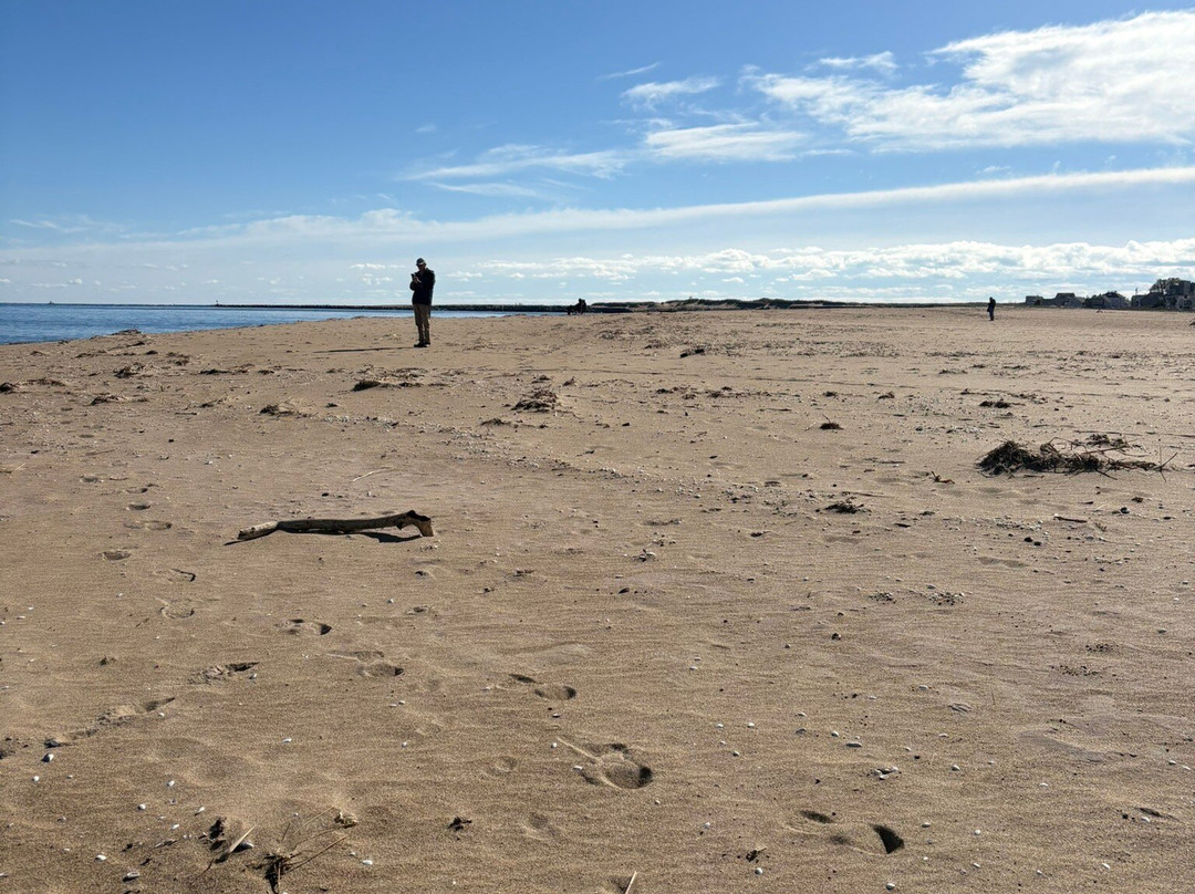 Parker River National Wildlife Refuge-纽伯里波特必去景点
