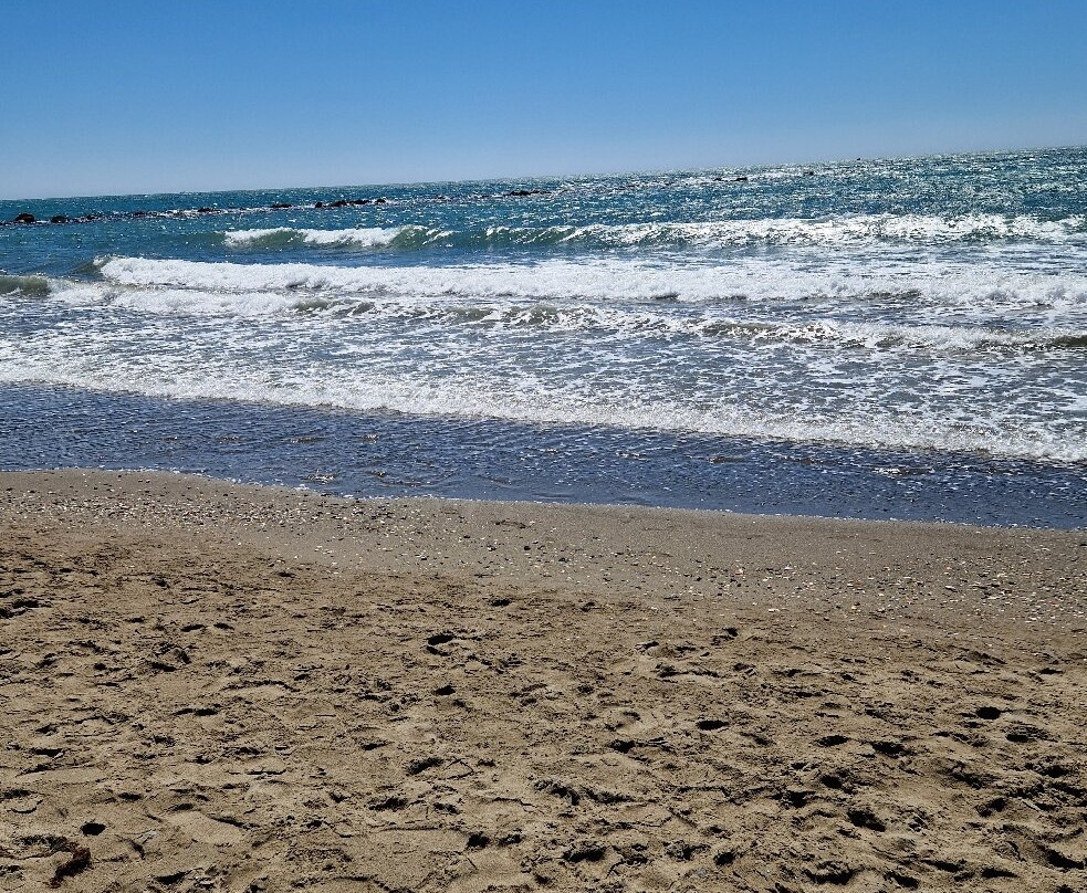 Praia da Coelha景点图片