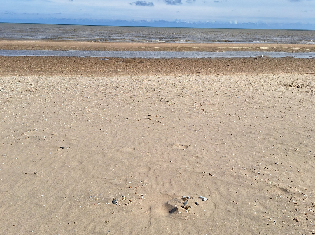 Greatstone Beach景点图片