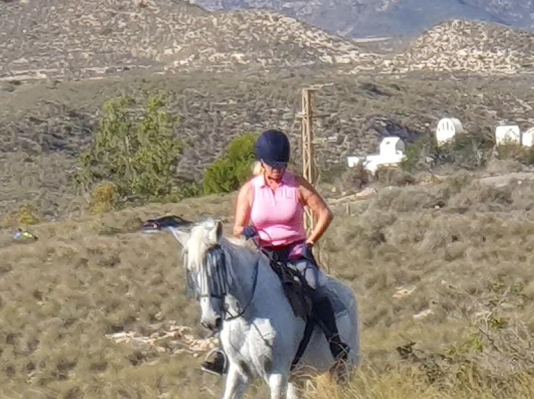 Horse Trekking in Adalusia景点图片