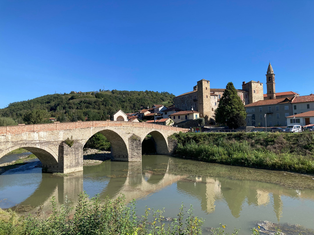 Castello di Monastero Bormida景点图片