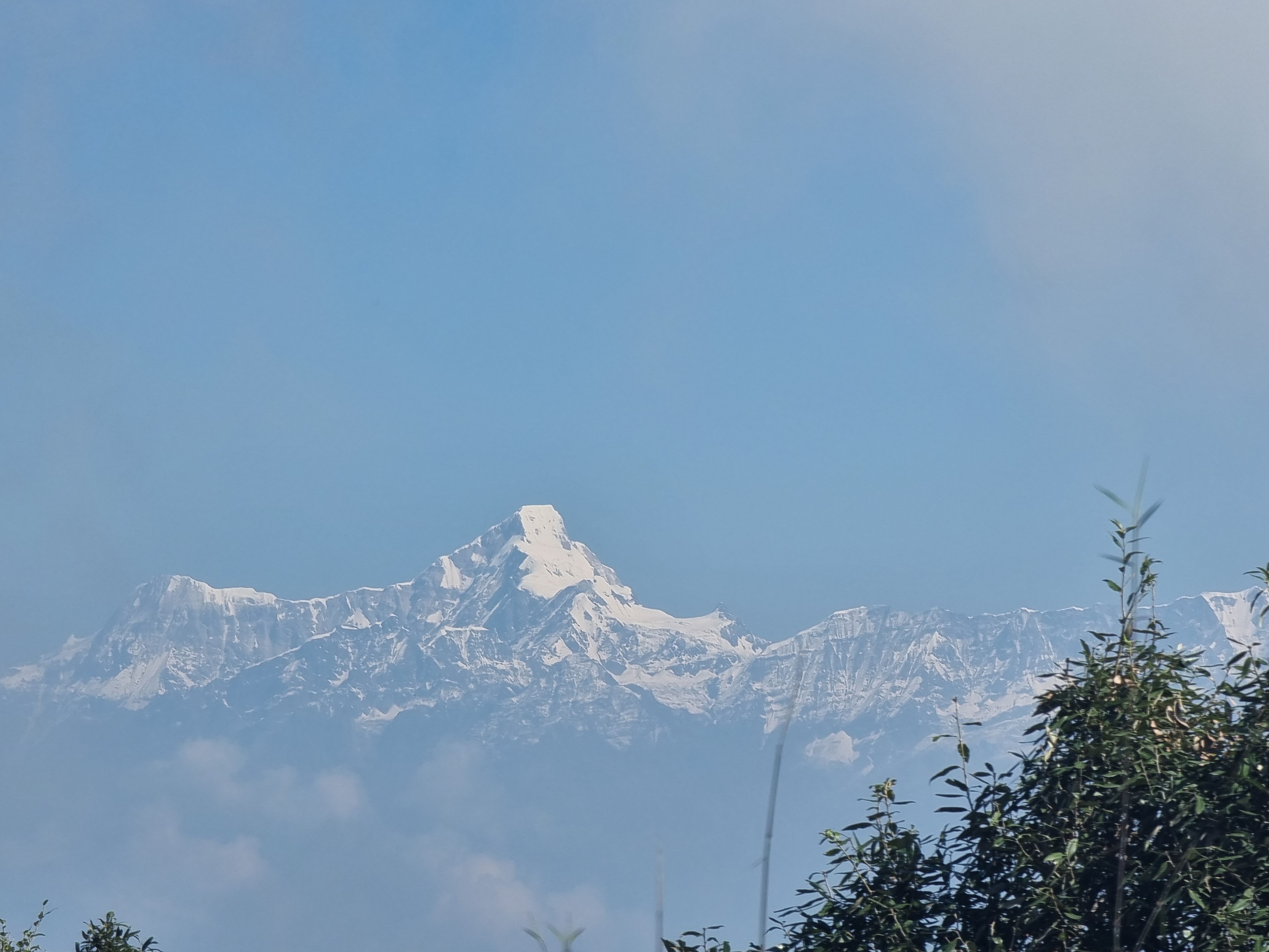 Nine Furlongs, Binsar Wildlife Sanctuary-酒店景观